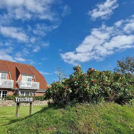 Апартаменты Haus-trischen-whg-03